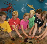 Naturaliste Marine Discovery Centre - Hotel Gold Coast