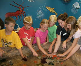 Naturaliste Marine Discovery Centre - Hotel Gold Coast 0