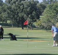 Spalding Park - Hotel Gold Coast