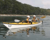 Jervis Bay Kayak & Paddlesports - Hotel Gold Coast 2