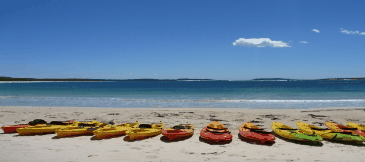 Jervis Bay Kayak & Paddlesports - Hotel Gold Coast 5