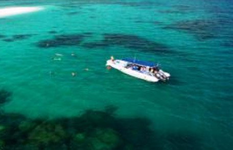 Ocean Safari - Hotel Gold Coast 1