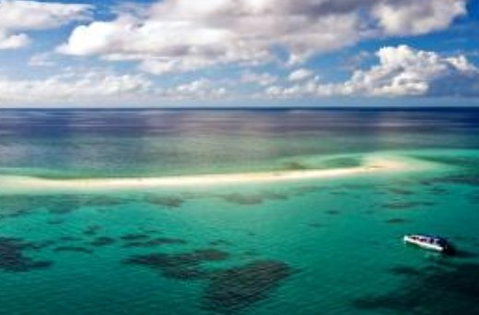 Ocean Safari - Hotel Gold Coast 2