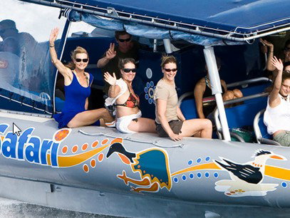 Ocean Safari - Hotel Gold Coast 3