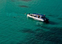 Ocean Safari - Hotel Gold Coast 5