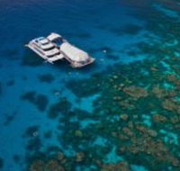Great Adventures Reef and Green Island Cruises - Hotel Gold Coast