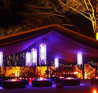 Flames Of The Forest - Hotel Gold Coast