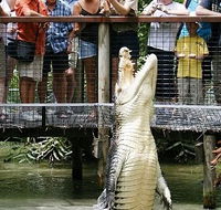 Hartley's Crocodile Adventures - Hotel Gold Coast