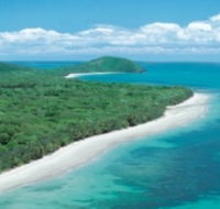 Reef and Rainforest Connections - Hotel Gold Coast