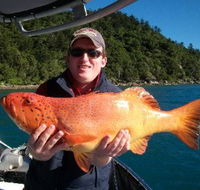 Gone Fishing by Coral Sea Fishing Charters Airlie Beach - Hotel Gold Coast