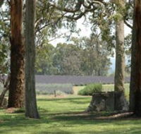 Aloomba Lavender - Hotel Gold Coast