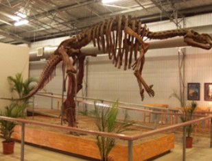 Diamantina Lakes QLD Hotel Gold Coast