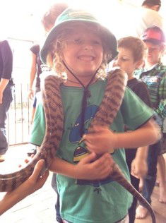 West Oz Wildlife Petting Zoos - Hotel Gold Coast 3