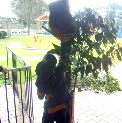 West Oz Wildlife Petting Zoos - Hotel Gold Coast 5