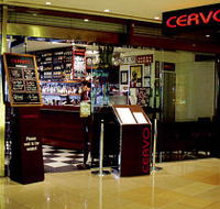 Cervo - Hotel Gold Coast