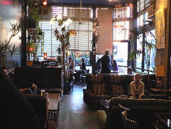 Blackcat - Hotel Gold Coast 1