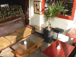 Blackcat - Hotel Gold Coast 2