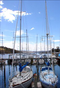 Saltwater River TAS Hotel Gold Coast