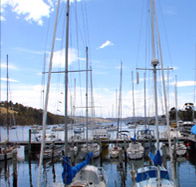 Oyster Cove Inn - Hotel Gold Coast