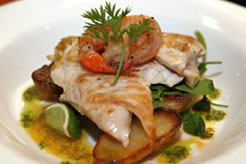 Oasis Hotel - Hotel Gold Coast 2