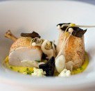 JAM Corner - Hotel Gold Coast