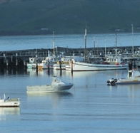 The Apollo Bay Hotel - Hotel Gold Coast