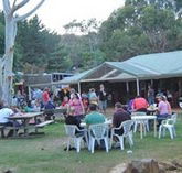Bush Shack Brewery - Hotel Gold Coast