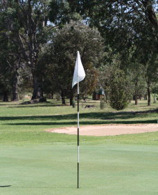 Inverell Golf Club - Hotel Gold Coast 1