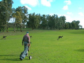 Whites River SA Hotel Gold Coast