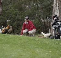 Tasmania Golf Club - The - Hotel Gold Coast