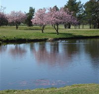 RMC Golf Club - Hotel Gold Coast
