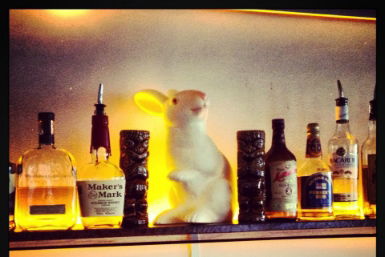 Hairy Canary - Hotel Gold Coast 0