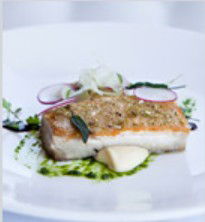 PJ's Irish Sports Bar & Bistro @ The Criterion Hotel - Hotel Gold Coast 0
