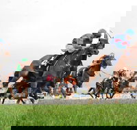 Christmas Cup Race Day - Hotel Gold Coast