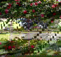 Griffith Spring Fest - Hotel Gold Coast