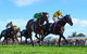 Ipswich Cup 2021 - thumb 2