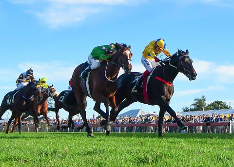 Ipswich Cup 2021 - Hotel Gold Coast 2