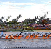 Jacaranda Dragon Boat Races - Hotel Gold Coast