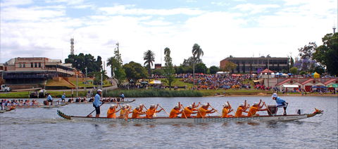 Jacaranda Dragon Boat Races - Hotel Gold Coast 0