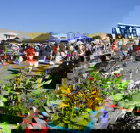 Maclean Community Monthly Markets - Hotel Gold Coast