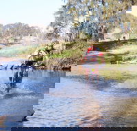 Mountain Man Tri Challenge - Hotel Gold Coast