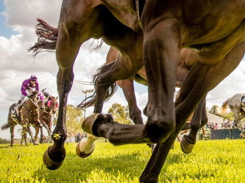 Night Markets And Race Day - Hotel Gold Coast 0