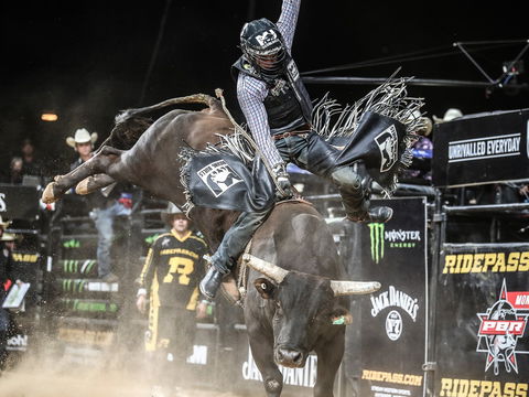 PBR Hawkesbury Stampede - Hotel Gold Coast 0