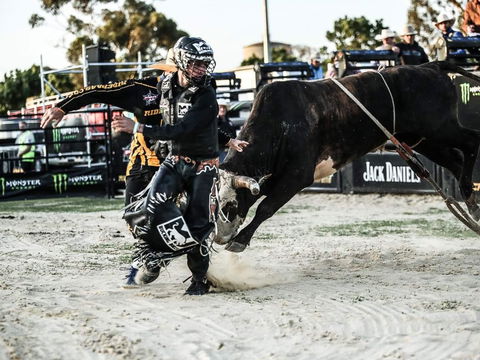 PBR Hawkesbury Stampede - Hotel Gold Coast 2