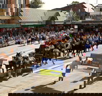 Scone Horse Festival - Hotel Gold Coast