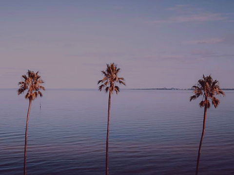 Sunset Streaming Live DJ Streams - Hotel Gold Coast 0
