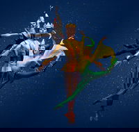 The Australian Ballet presents The Happy Prince - Hotel Gold Coast