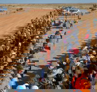 28th Marree Australasian CAMEL CUP 3 July 2021 - Hotel Gold Coast