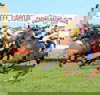 Casino Cup - Hotel Gold Coast