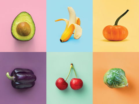 Food For Thought: Alternative Food Sources - Hotel Gold Coast 0